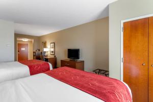 comfort suites north