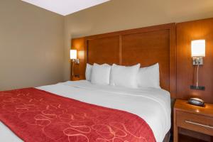 comfort suites north