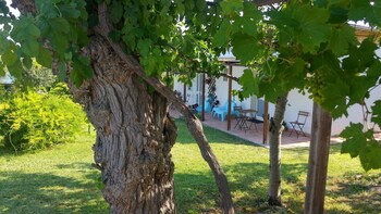 torino di sangro