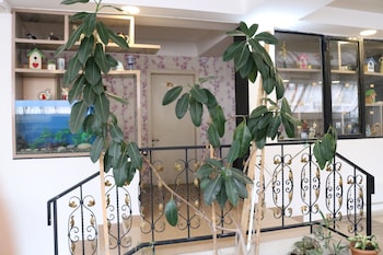 Seashell,Near Kobuleti Nature Reserve,3 star