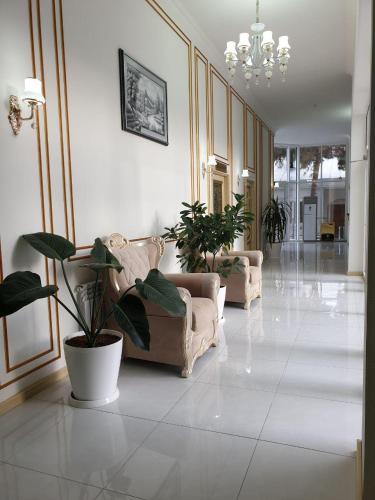reikartz xon tashkent