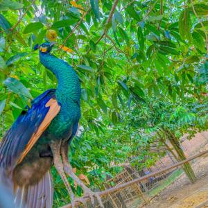 casa eco mekong homestay