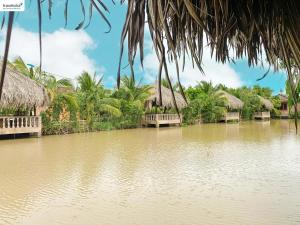 casa eco mekong homestay