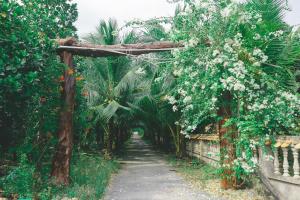 casa eco mekong homestay