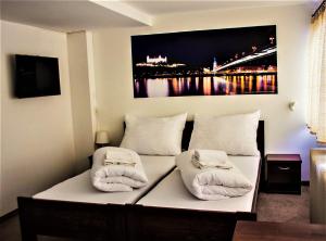 Botel Gracia,Old Town Bratislava>>Bratislava,3 star