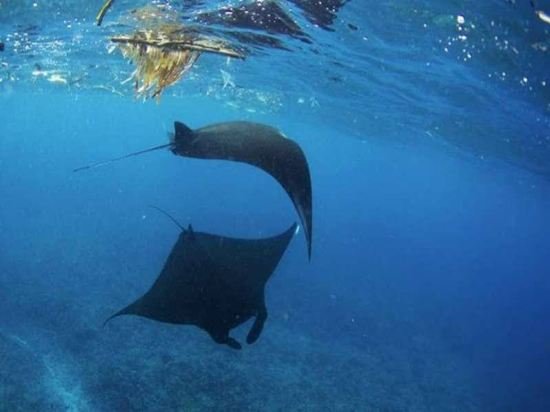 lembongan island