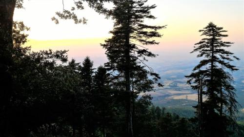 casa isabela luxury rooms