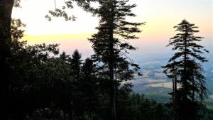 casa isabela luxury rooms