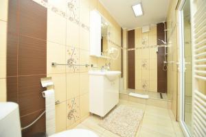 Pensiunea Trident,Hateg>>Deva,3.5 star