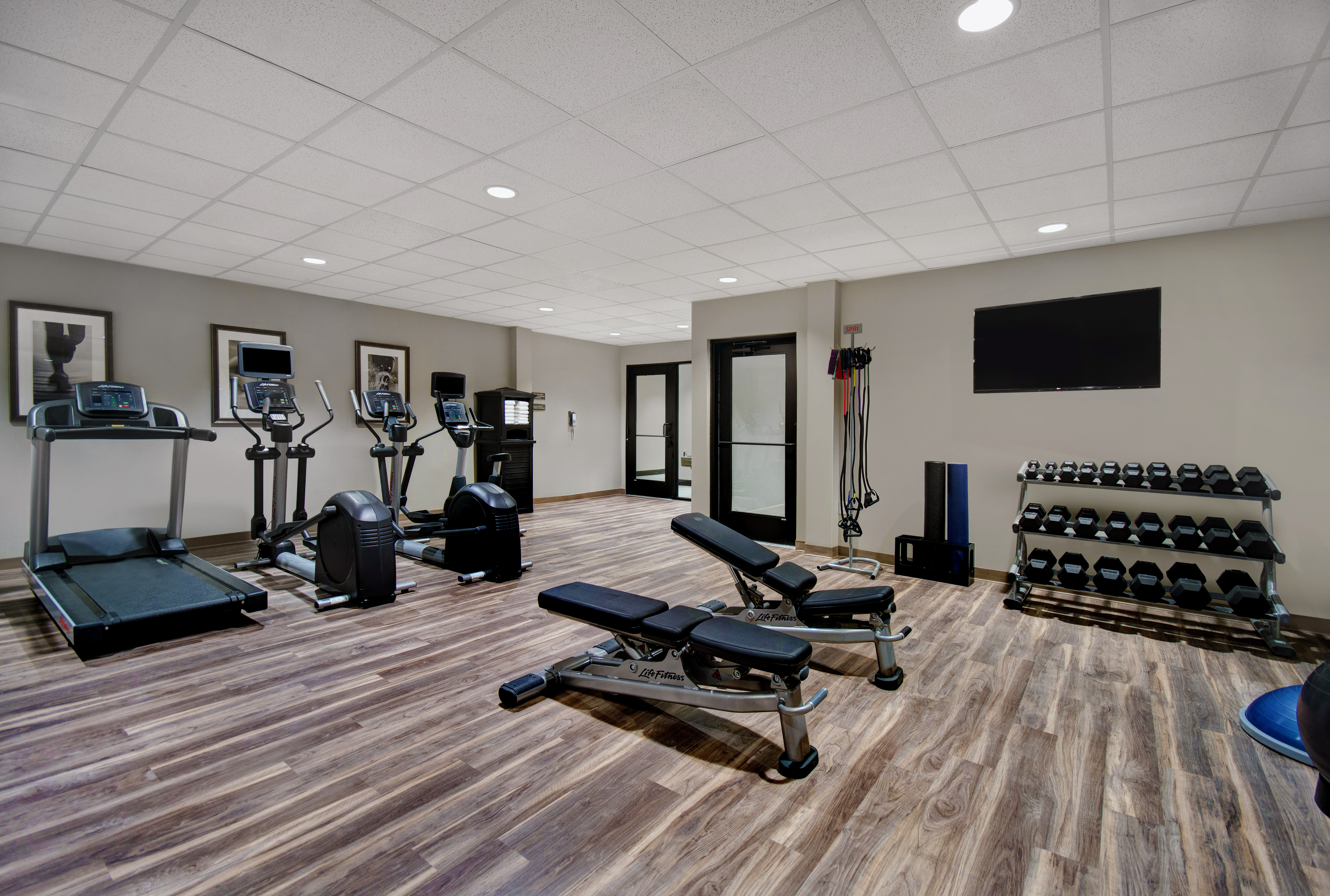 staybridge suites sterling heights detroit area an ihg hotel