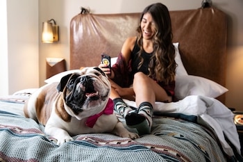 moxy louisville downtown