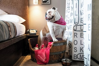 moxy louisville downtown