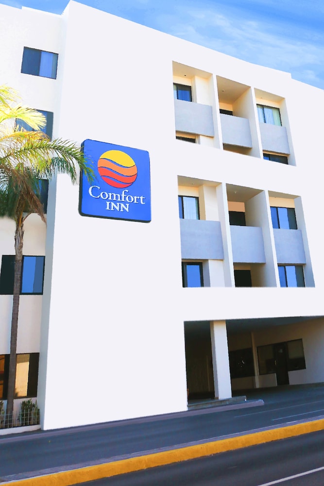 comfort inn tampico