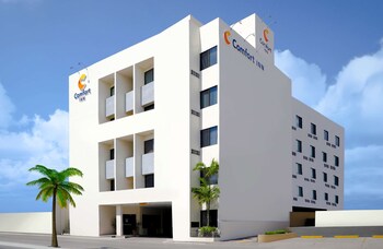 comfort inn tampico