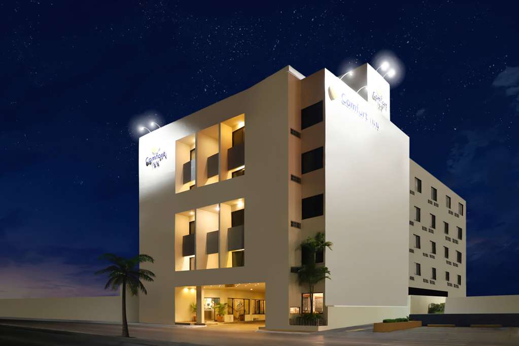 comfort inn tampico
