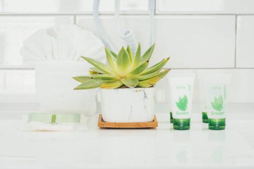 the belmont shore inn