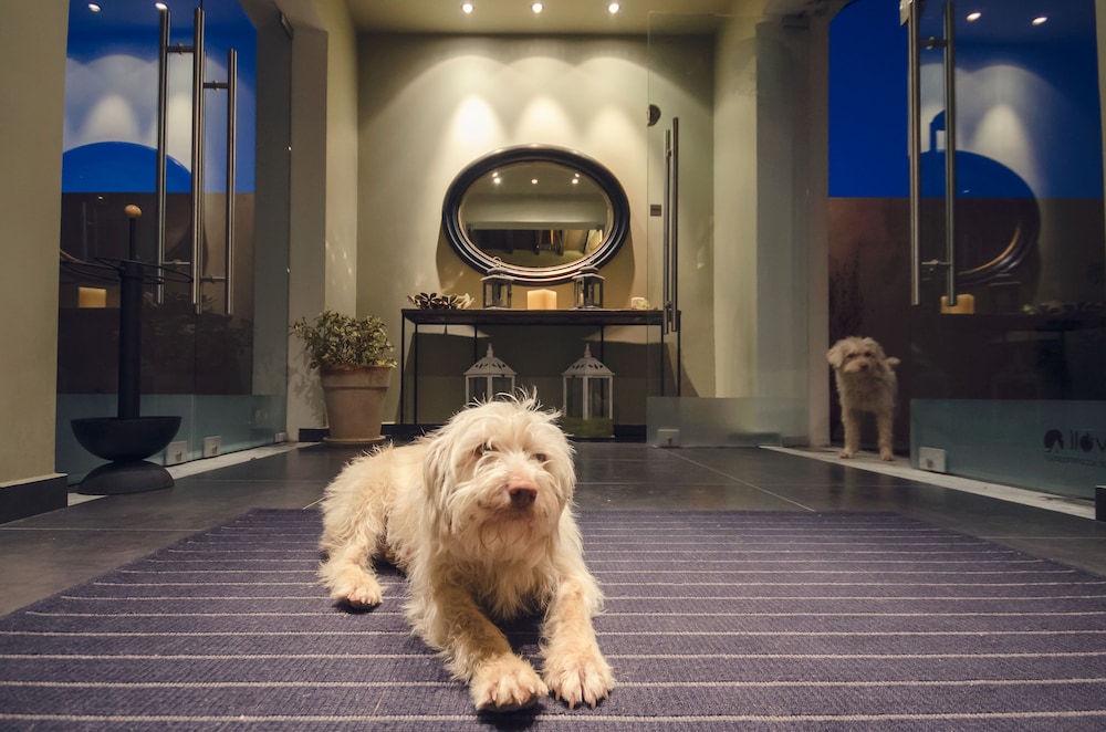 perivoli country hotel and retreat