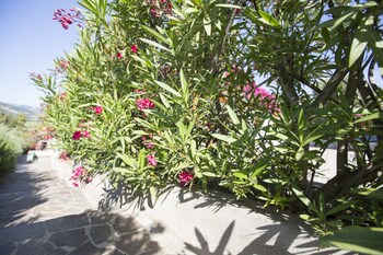 la corte degli ulivi hotel ristorante