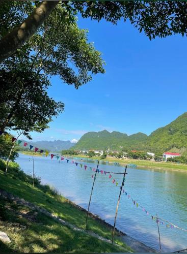phong nha