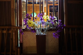 under the coconut tree hostel