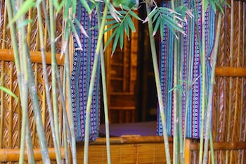 under the coconut tree hostel