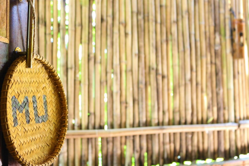 under the coconut tree hostel