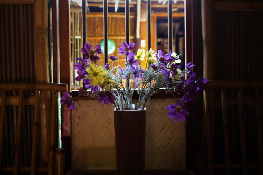 under the coconut tree hostel