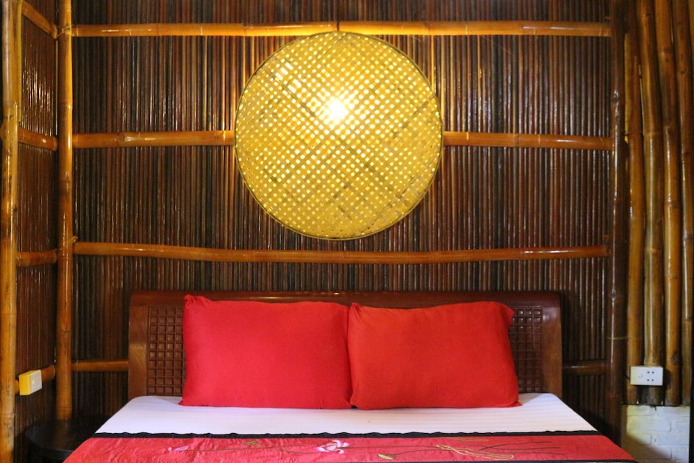 under the coconut tree hostel