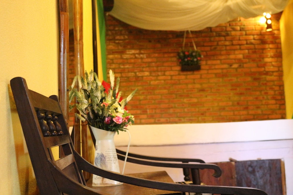 under the coconut tree hostel