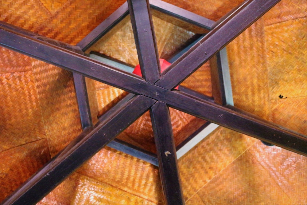 under the coconut tree hostel