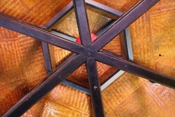 under the coconut tree hostel