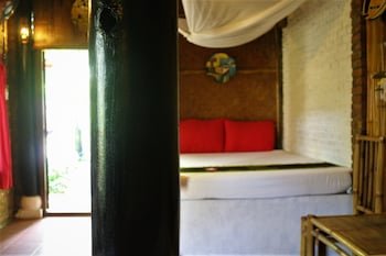 under the coconut tree hostel