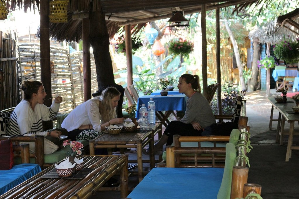 under the coconut tree hostel