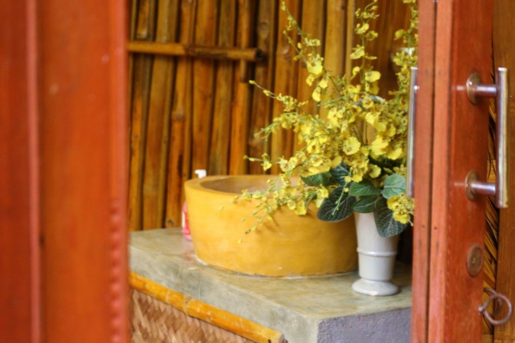 under the coconut tree hostel