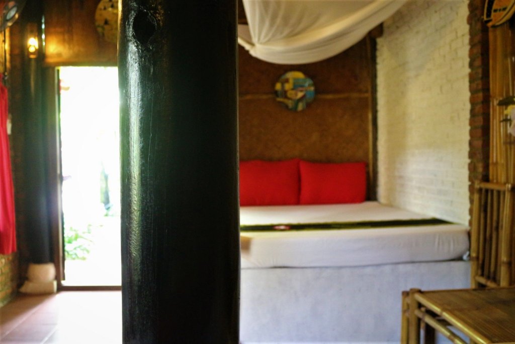 under the coconut tree hostel