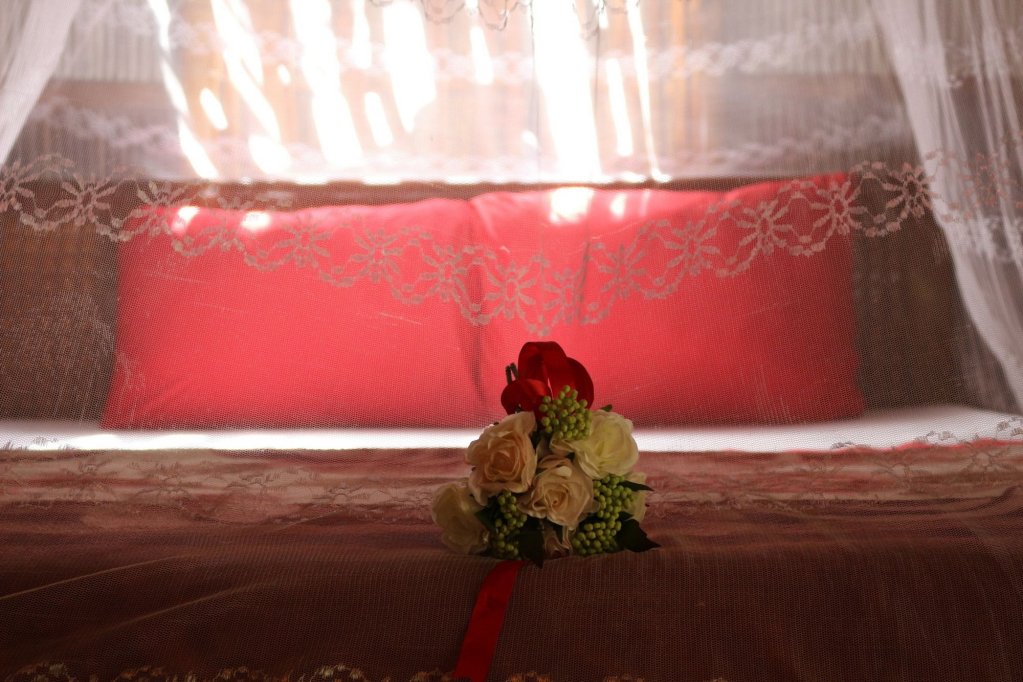 under the coconut tree hostel