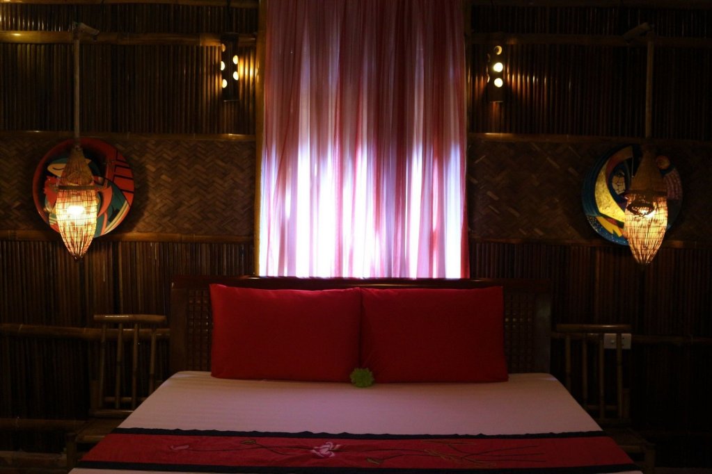 under the coconut tree hostel