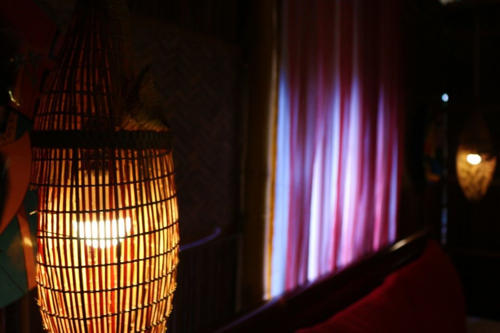 under the coconut tree hostel