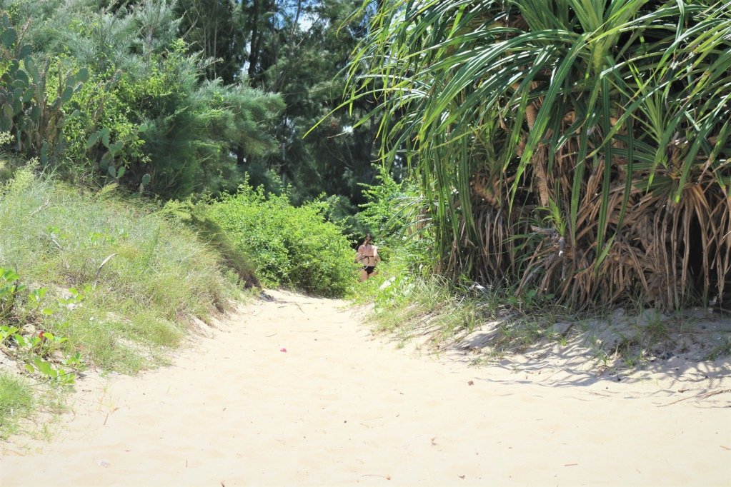 under the coconut tree hostel