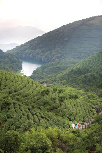 ningbo