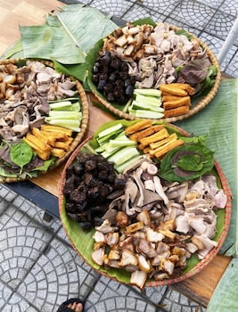 phong nha escape bungalow