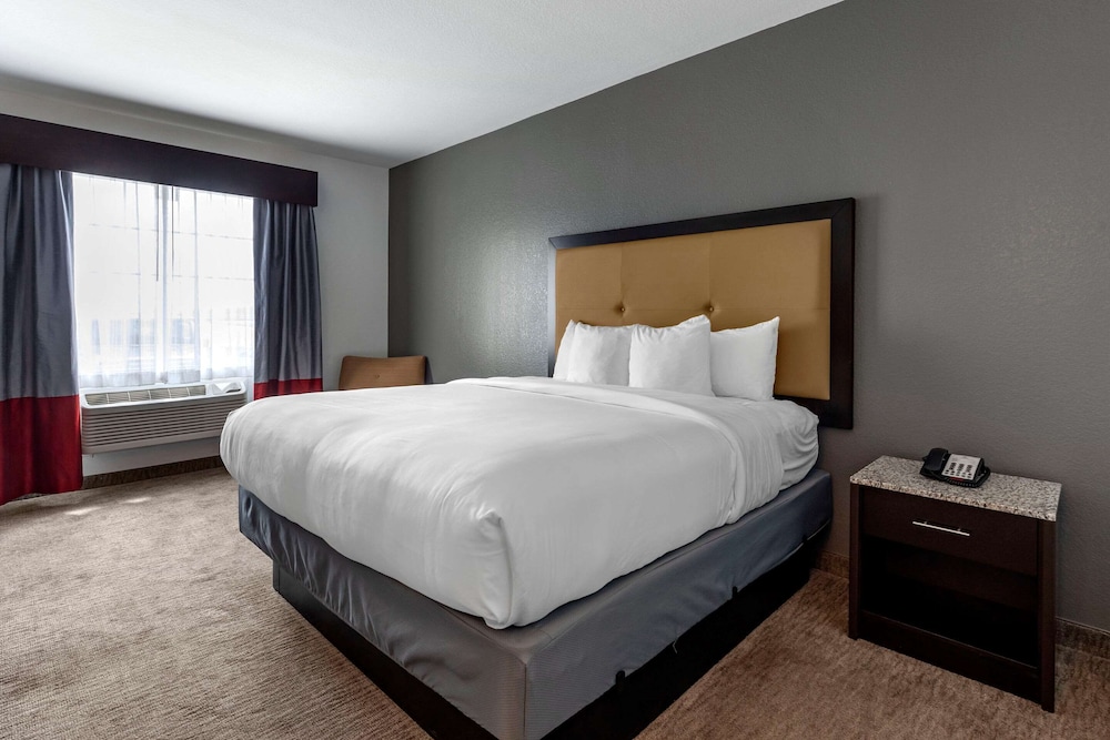 comfort inn and suites