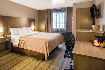 quality inn