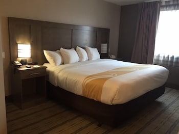quality inn
