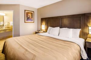 quality inn