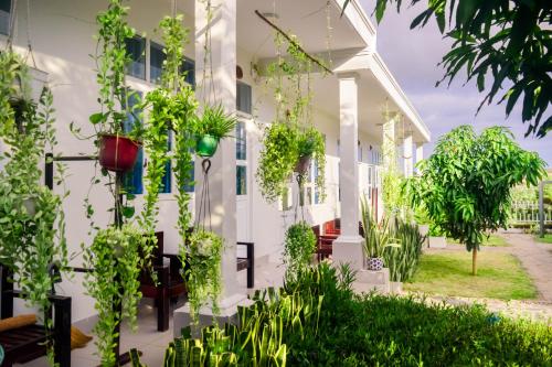 doi dua homestay