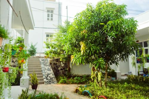 doi dua homestay