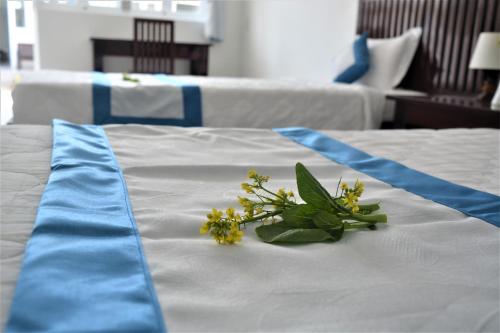 doi dua homestay