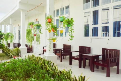doi dua homestay