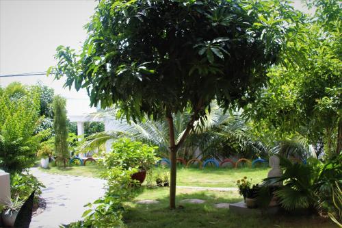 doi dua homestay